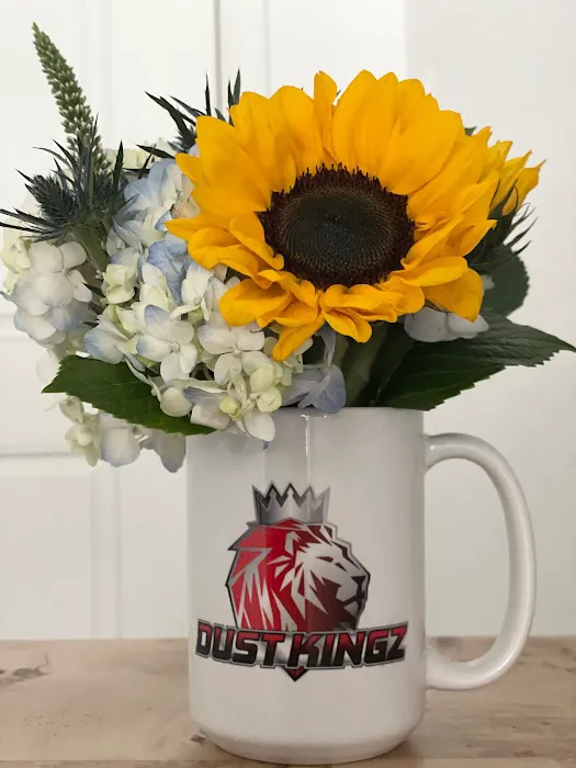 Dust Kingz Dustless Demo & Remodeling Picture 6