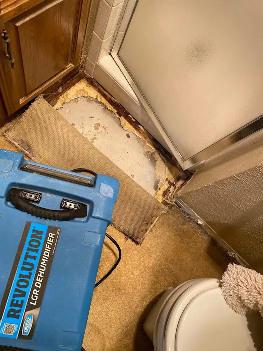 Mitigation Local Picture 1