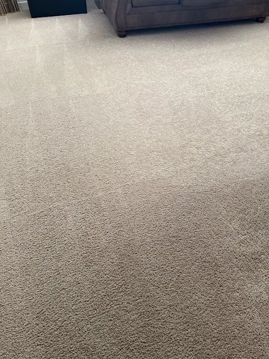 Steam Master Cleaning and Restoration Picture 1