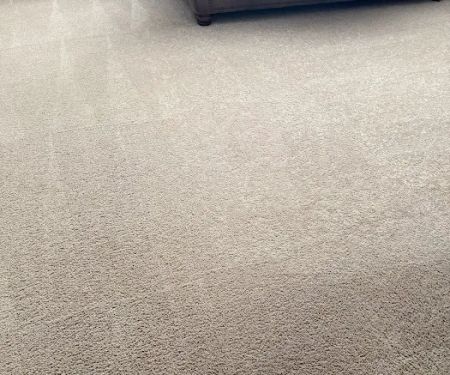 Steam Master Cleaning and Restoration