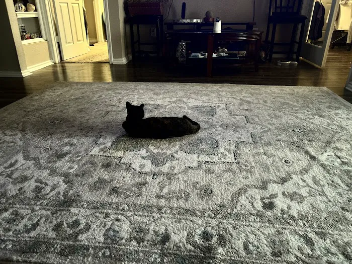 Steam Master Cleaning and Restoration Picture 9