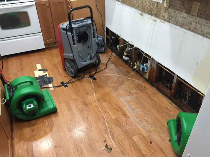 Pro Response Picture 8