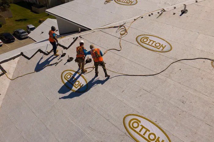 Cotton Global Disaster Solutions Picture 5