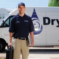 Dry Force Water Removal Specialists ico