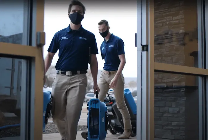 Dry Force Water Removal Specialists Picture 3