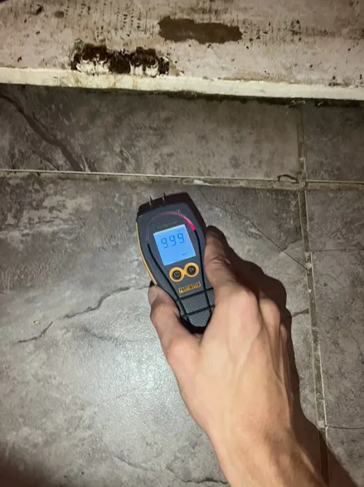 Dry Force Water Removal Specialists Picture 6