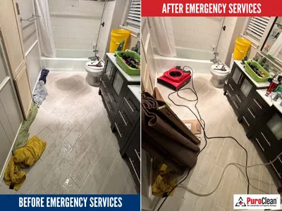 PuroClean of Park Cities/North Dallas Picture 5