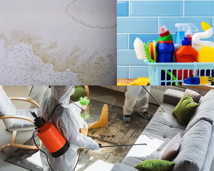 Water Damage Restoration PDQ of Grapevine Picture 2