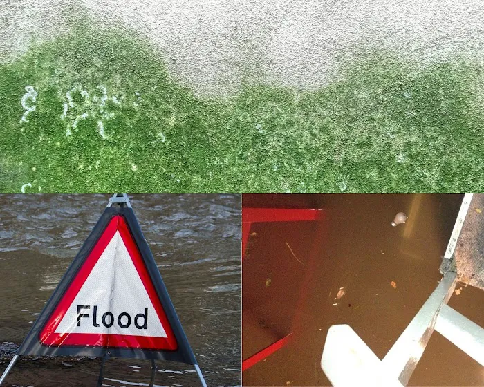 Water Damage Restoration PDQ of Grapevine Picture 10