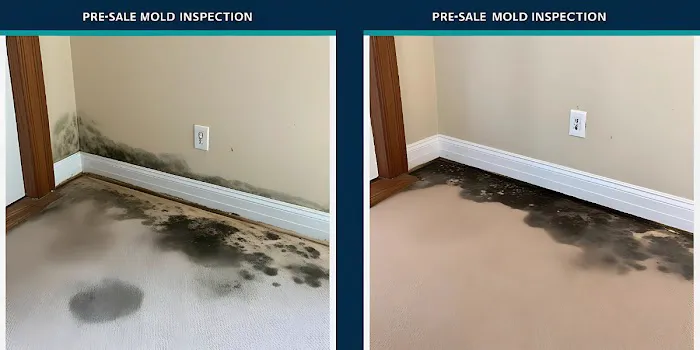 Water Damage Restoration Irving Picture 10
