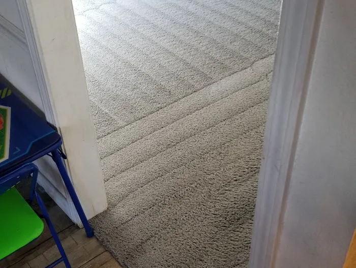 Dr. Clean Carpet Picture 5