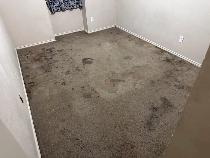 Dr. Clean Carpet Picture 7