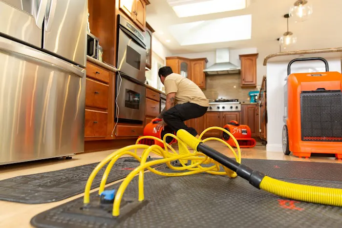 Reactic Restoration Picture 6