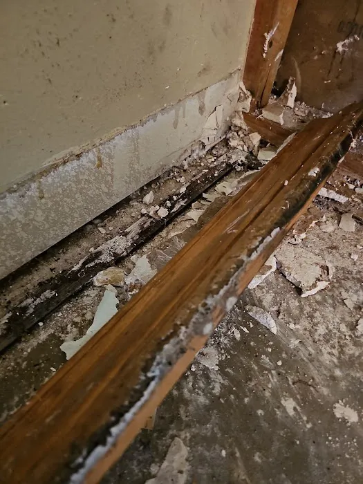 Wise Restoration Inc Picture 6