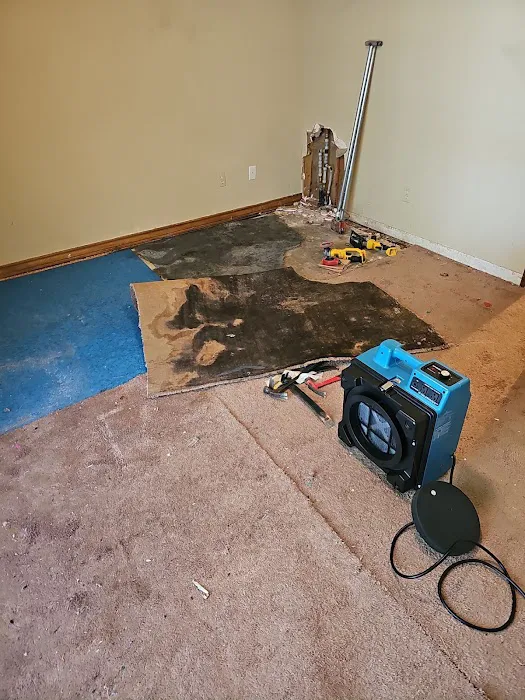 Wise Restoration Inc Picture 7