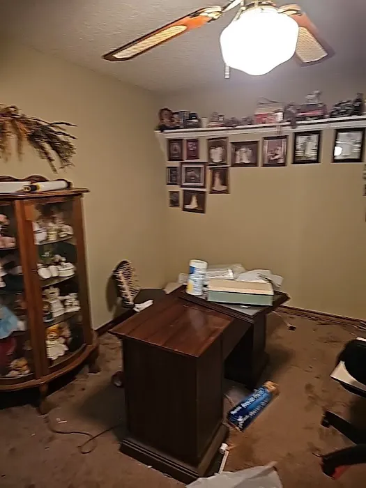 Wise Restoration Inc Picture 8