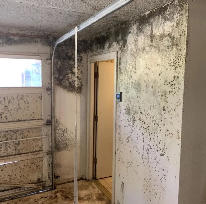 SERVPRO Flower Mound / Lewisville Picture 8