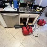 Astros Flood Recovery