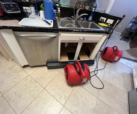 Astros Flood Recovery