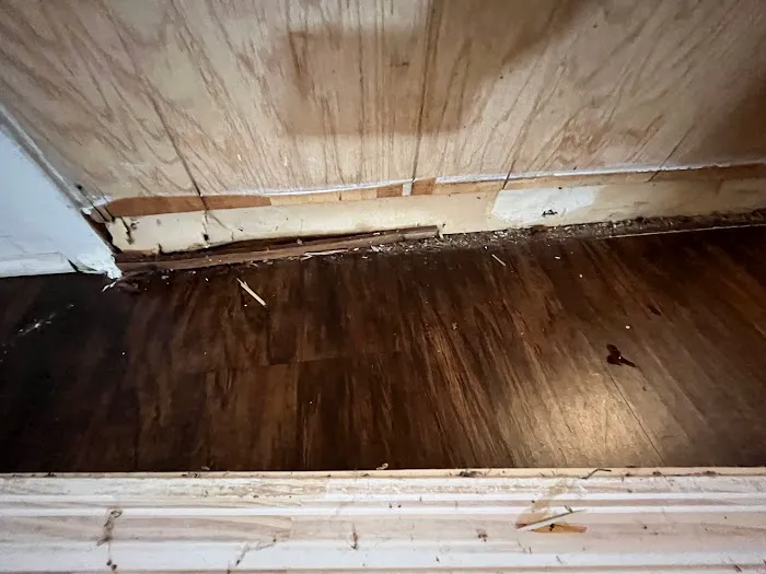 Astros Flood Recovery Picture 2