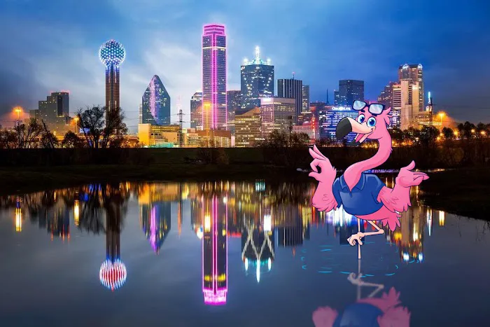 Flamingo Floodworks - Water Damage Experts Picture 5