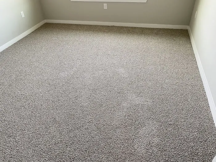 Stanley Steemer Picture 3