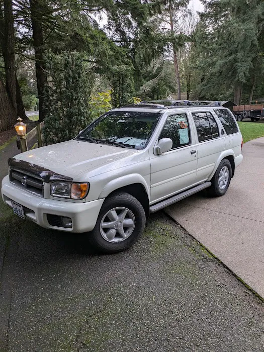 The Mold Pros of Texas Picture 1