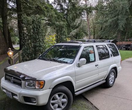 The Mold Pros of Texas