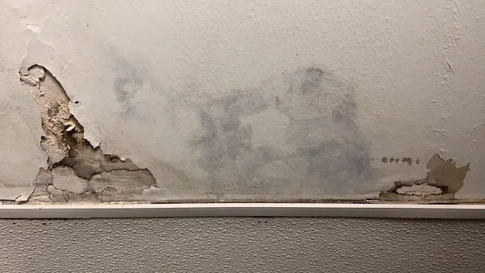 The Mold Pros of Texas Picture 10