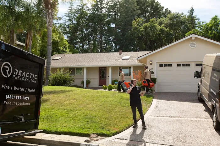 Reactic Restoration Picture 9