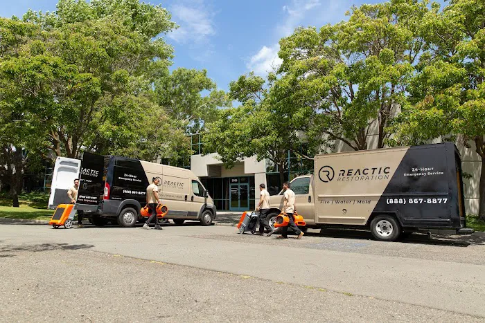 Reactic Restoration Picture 6