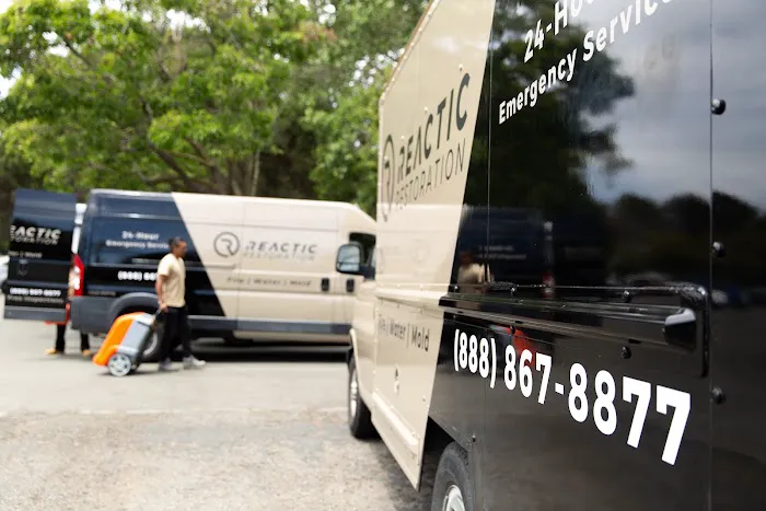 Reactic Restoration Picture 4