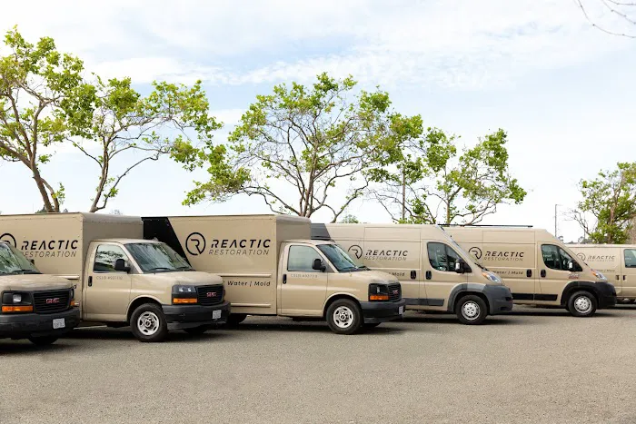 Reactic Restoration Picture 3