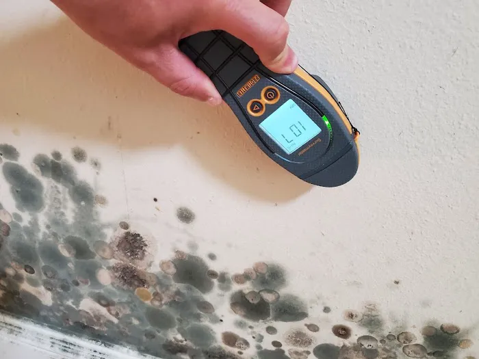 All Dry Services of Dallas Picture 3