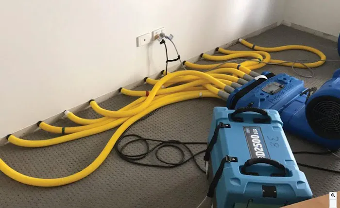 All Dry Services of Dallas Picture 7