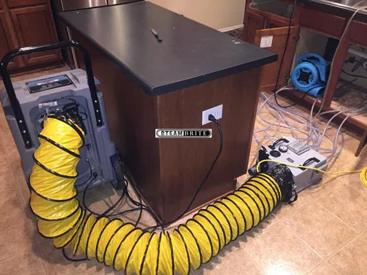 All Dry Services of Dallas Picture 6