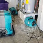 Reliable Carrollton Water Damage Restoration & Mold Removal Experts