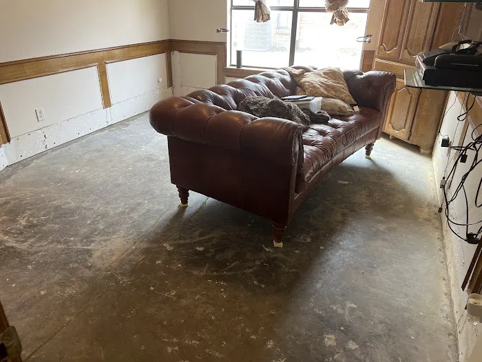 Zeus Restoration Picture 5