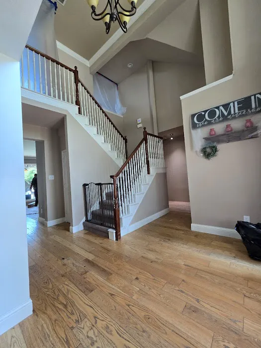 Zeus Restoration Picture 6