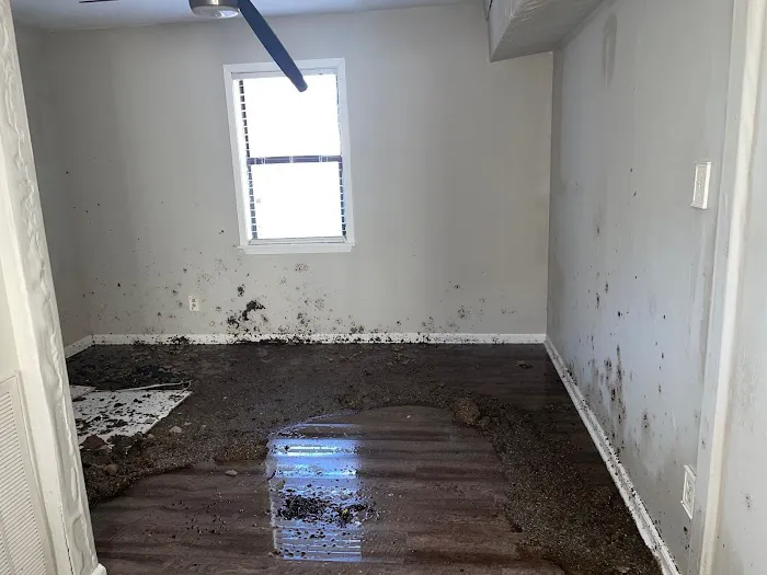 1-800 Water Damage of NE TX & NW LA Picture 1