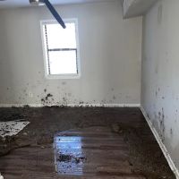 1-800 Water Damage of NE TX & NW LA ico