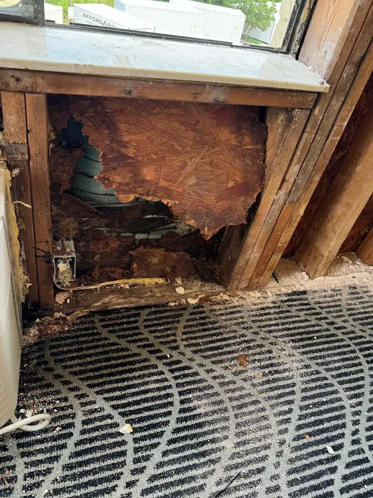 Dryman Group Picture 3