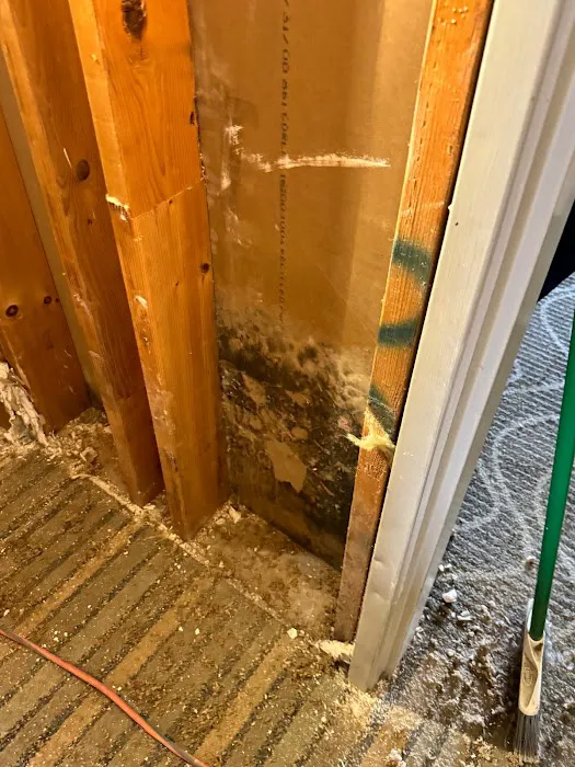 Dryman Group Picture 1