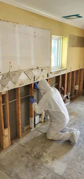 Doigg's Restoration & Cleaning Picture 6