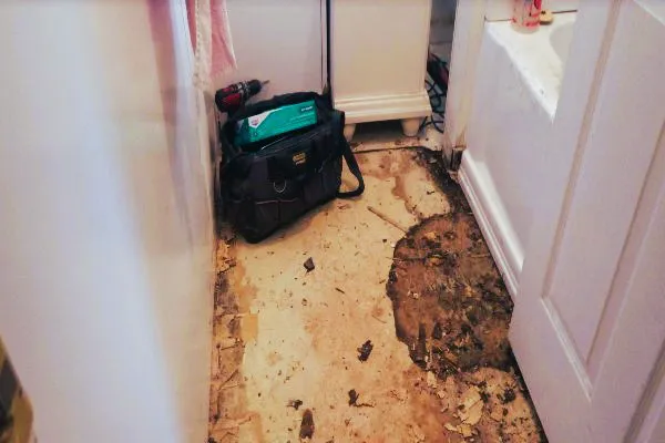 Harugami Water restoration Picture 1