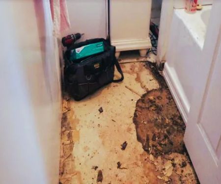 Harugami Water restoration