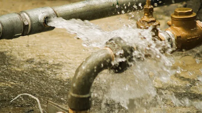 Harugami Water restoration Picture 3