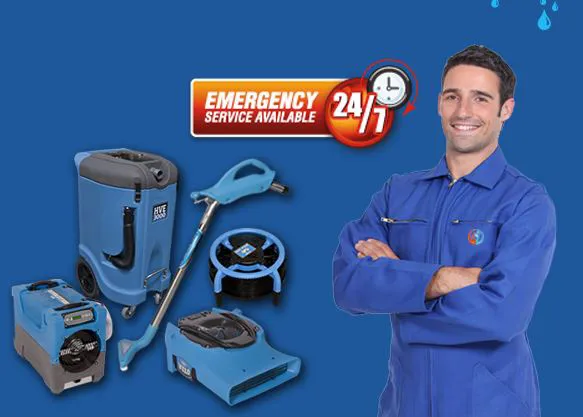 Flood Kings Picture 2