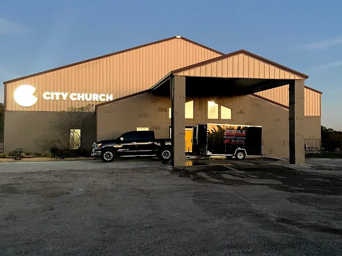 Eagle Restoration and Cleaning Picture 9