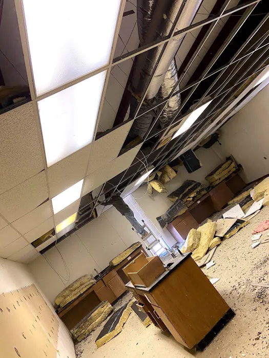 Eagle Restoration and Cleaning Picture 8